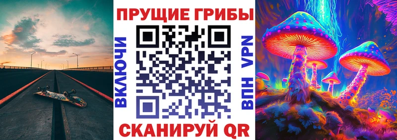 Галлюциногенные грибы Psilocybe  Купить где  Хасавюрт 