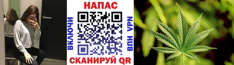 Конопля конопля Хасавюрт